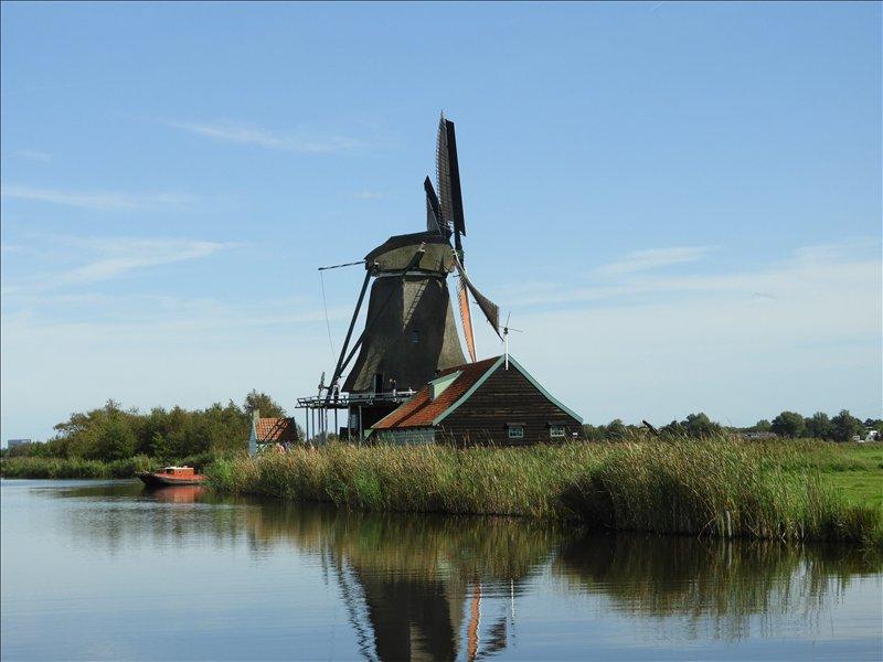 Foto 208197596
